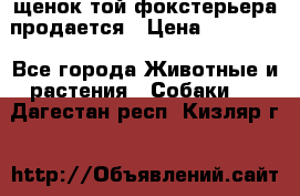 щенок той-фокстерьера продается › Цена ­ 25 000 - Все города Животные и растения » Собаки   . Дагестан респ.,Кизляр г.